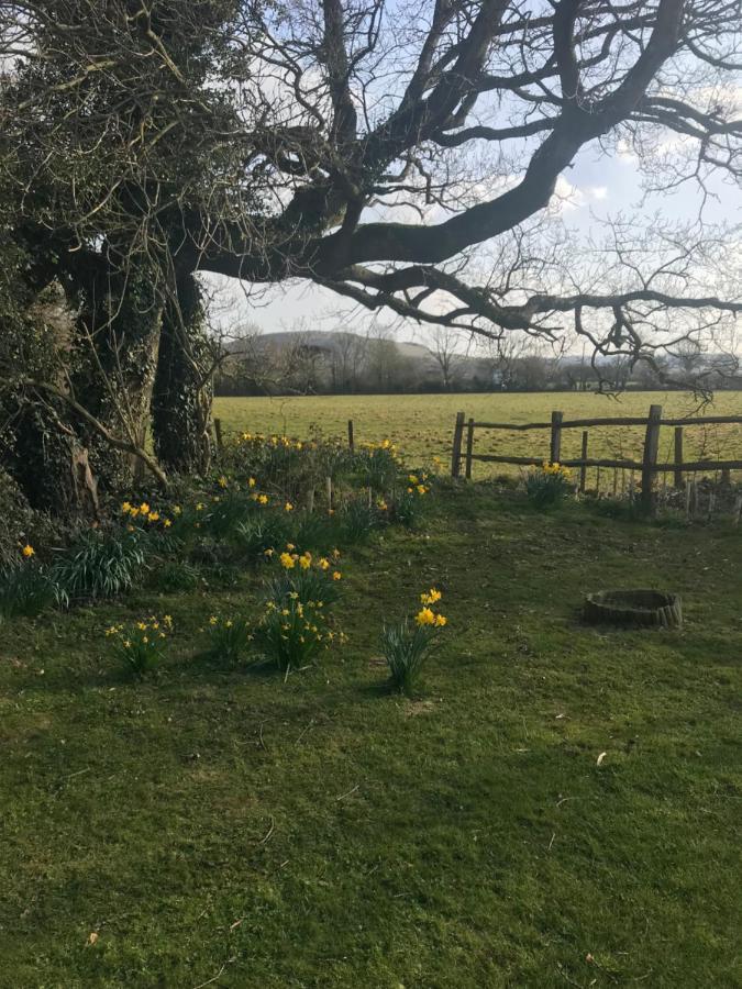 The Old Flower Field Hurstpierpoint 외부 사진