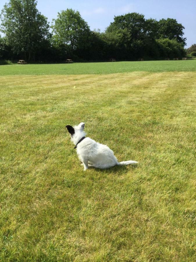 The Old Flower Field Hurstpierpoint 외부 사진